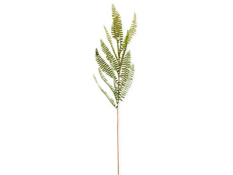 35 inch Artificial Fish Bone Fern Stem