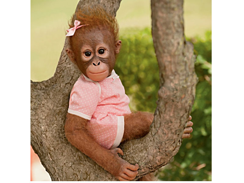 Annabelle's Hugs Lifelike Baby Monkey Doll By Ina Volprich