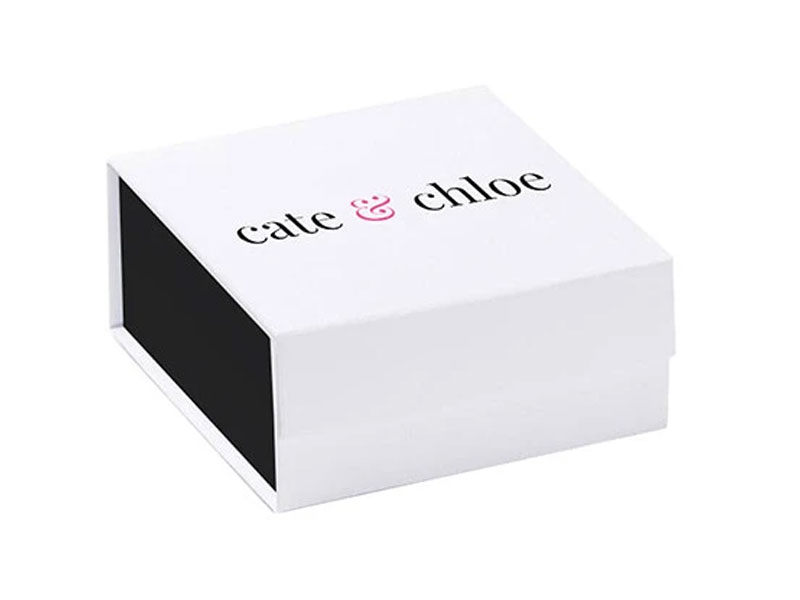 Cate & Chloe Women's Astrid Devine 18k White Gold Plated Stud Earrings