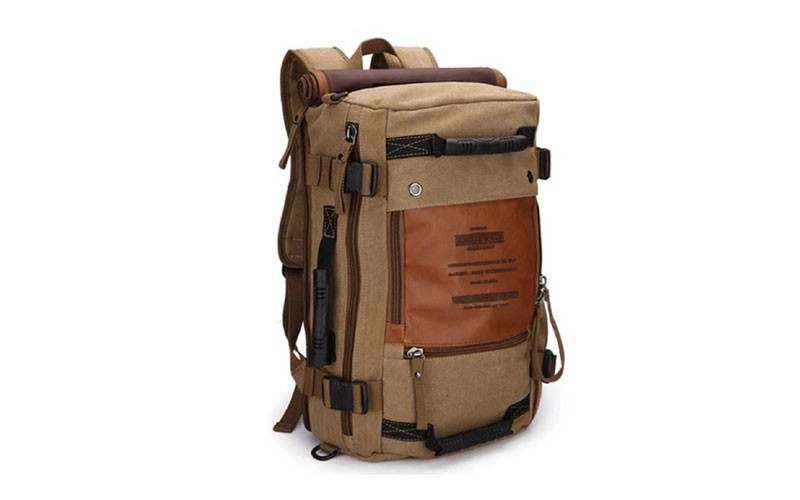 Patagonia All-purpose Canvas & PU Leather Day Backpack - Khaki Brown