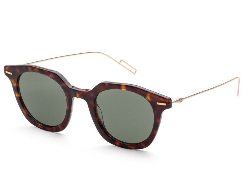 Christian Dior Men's Master 47mm Havana Sunglasses