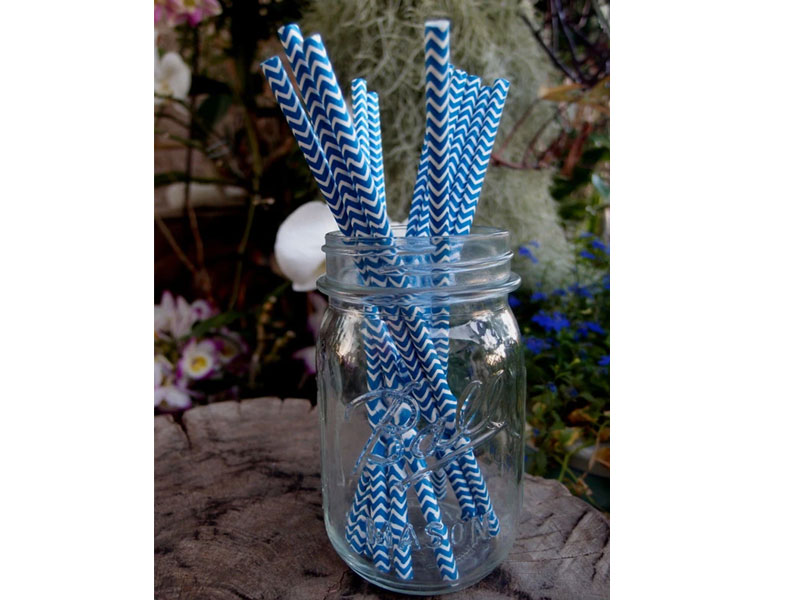 Blowout Dark Blue Chevron Patterned Party Paper Straws