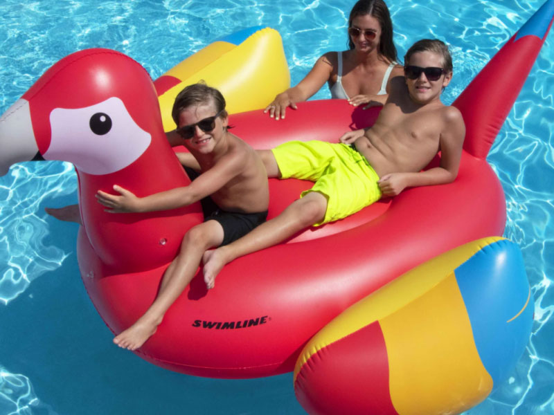 Giant Parrot Pool Float