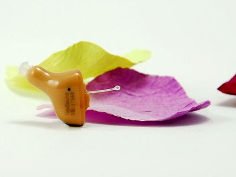 TacTear In Ear 2 Channel Affordable Digital Hearing Aid