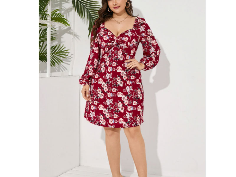 Yoins Women's Plus Size Floral Print Long Sleeves Dress