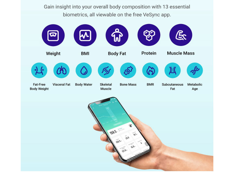 Etekcity Smart Fitness Scale for Body Weight