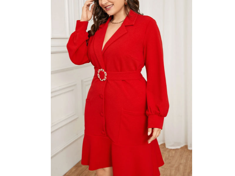 Yoins Women's Plus Size Belt Design Pocket Long Sleeves Dress