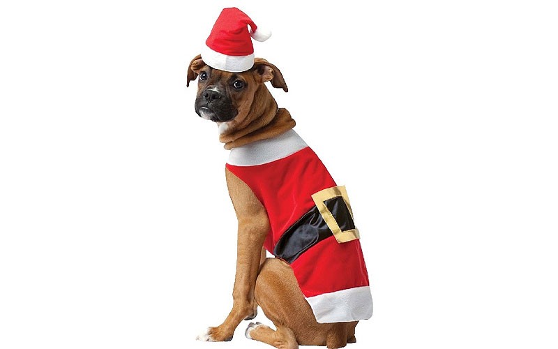 Santa Pet Costume