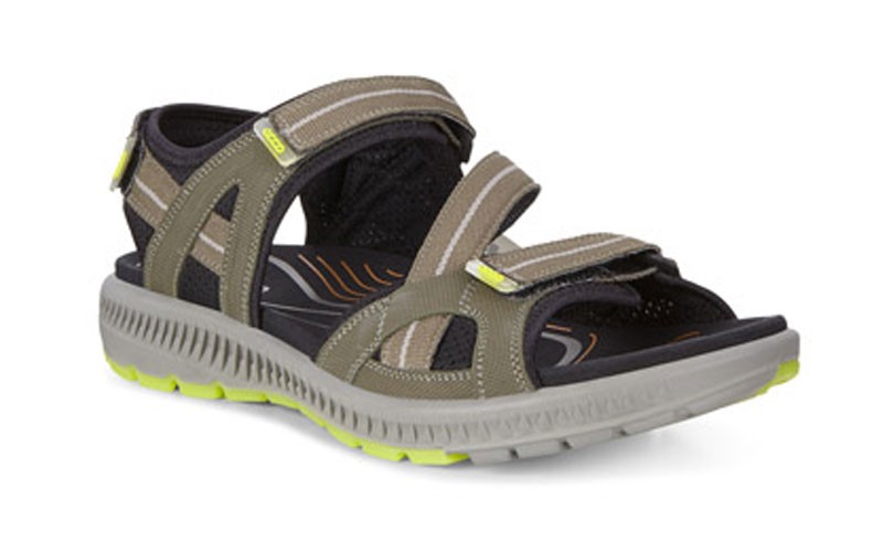 Ecco Terra 3S Sandals