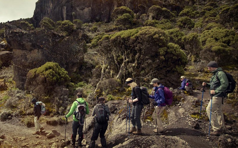 8 Days Mt Kilimanjaro Trek Machame Route Tour