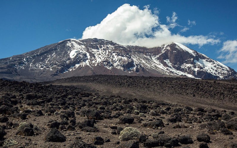 9 Days Mt Kilimanjaro Trek Machame Route Tour