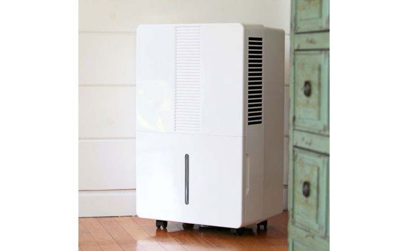 Pure & Dry Whisper 50-Pint Dehumidifier by Aerus