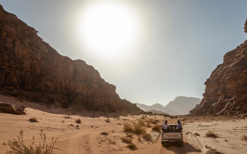 8 Days Explore Petra & Wadi Rum Independent Adventure Tour
