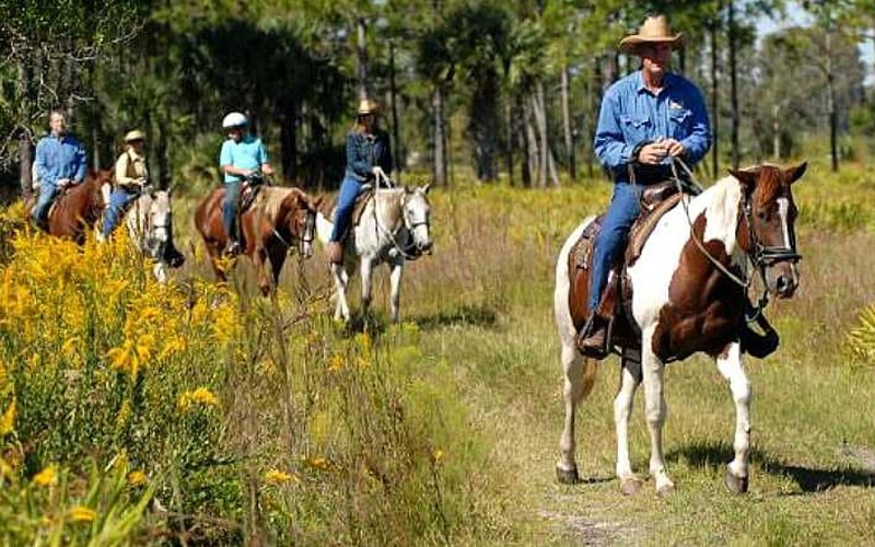 Horseback Riding Orlando, Trail Adventure 1 Hour