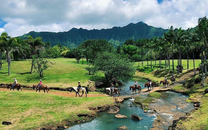 Horseback Ride Kauai with Mountain Pool Adventure and Picnic 3 Hours