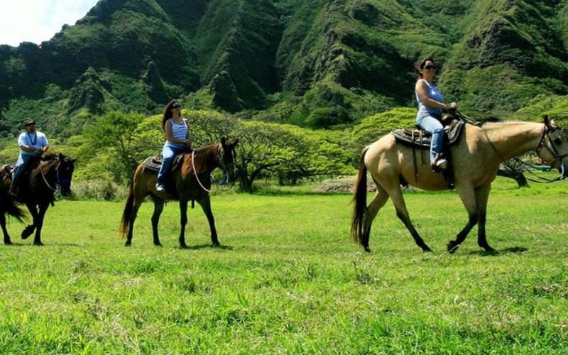 Horseback Riding Oahu, Kualoa Ranch 2 Hour