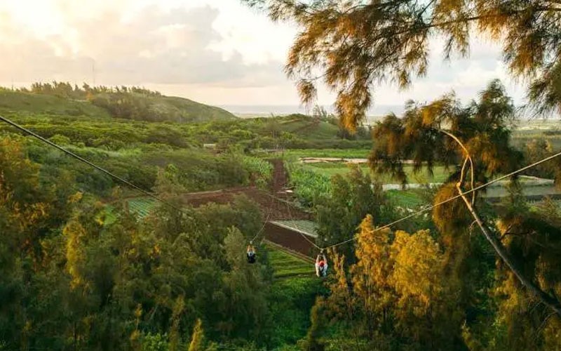 Zipline Oahu North Shore, 8 Lines 3 Hours