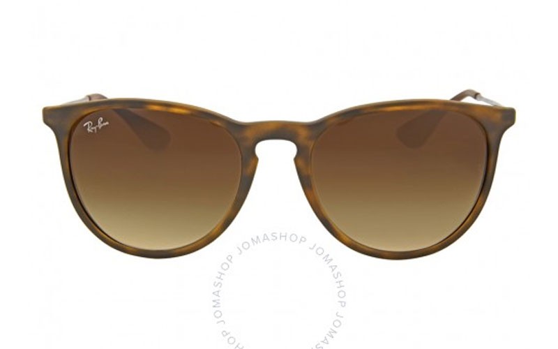 Ray Ban Erika Brown Gradient Sunglasses