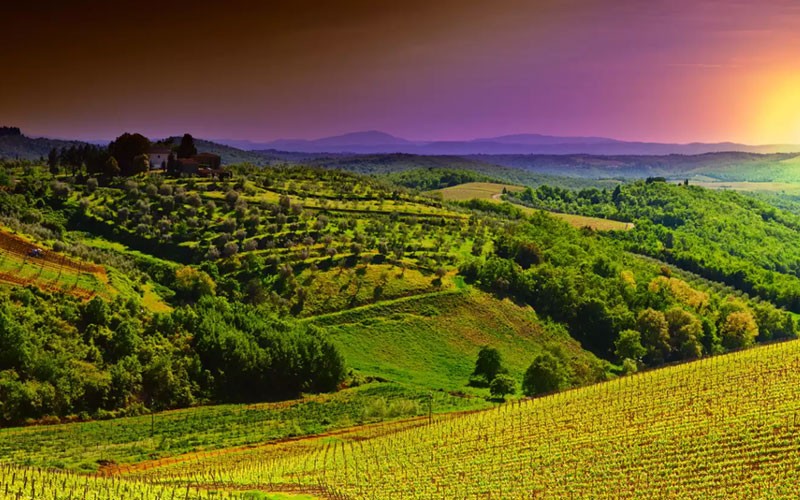 6 Nights Rome and Tuscany Vacation Packages