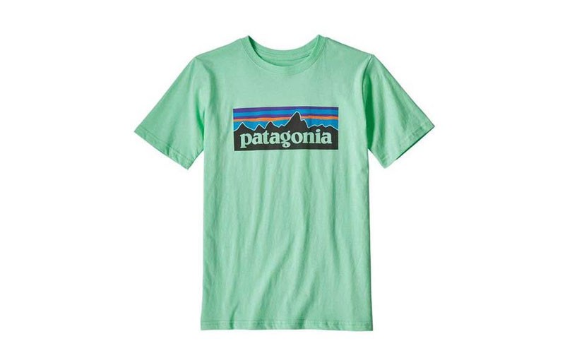 Patagonia P-6 Logo Short Sleeve T-Shirt for Boys in Vjosa Green