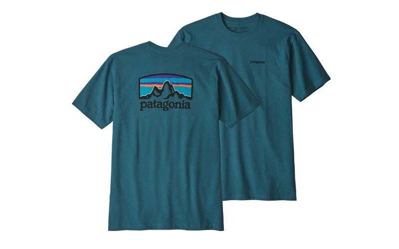 Patagonia Mens Fitz Roy Horizons Responsibili-Tee in Tasmanian Teal