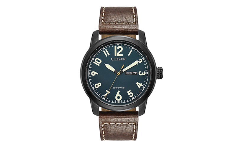Mens Citizen Eco-Drive Ion Plated Watch