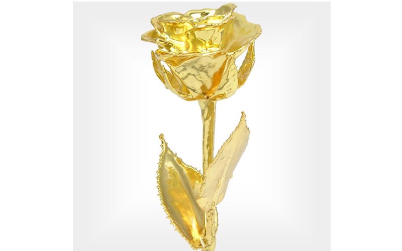 24k Gold Rose: 8-Inch Real Dipped Rose