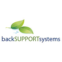 Back Support System