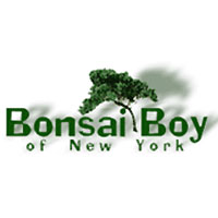 Bonsai Boy Coupons