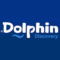 Dolphin Discovery