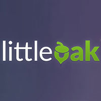 Little Oak Hosting