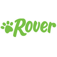 Rover ES