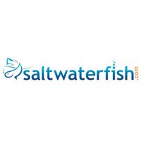 Saltwater Fish